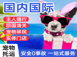 赤峰机场货运国际宠物托运 【国